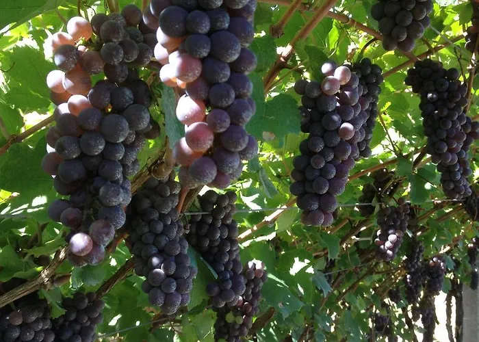 בית כפרי La Decima טרנטו